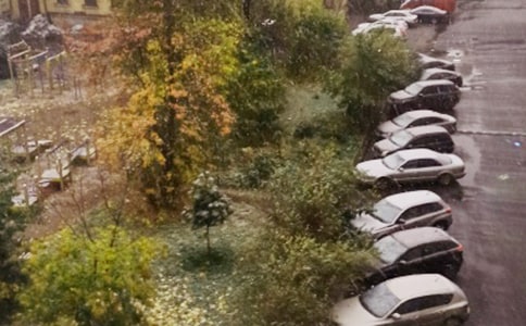 ��ѩ��С��̰�