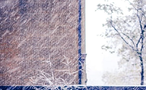 ��ѩ��Сѧ����(15ƪ)