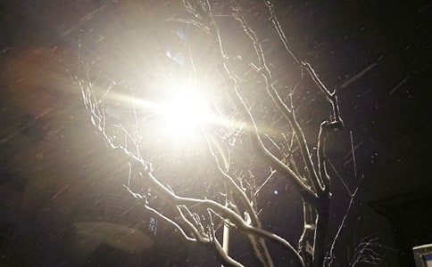 ��ѡ��ѩ��Сѧ���Ľ�����ƪ