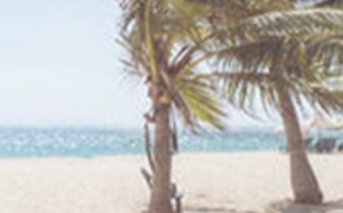 ����ļ���ʳ�̰�