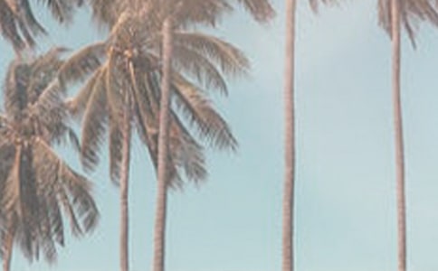 �ļ���ȫ��֤��15ƪ