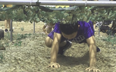 ����ѡ������Ӫ�ռ�4ƪ