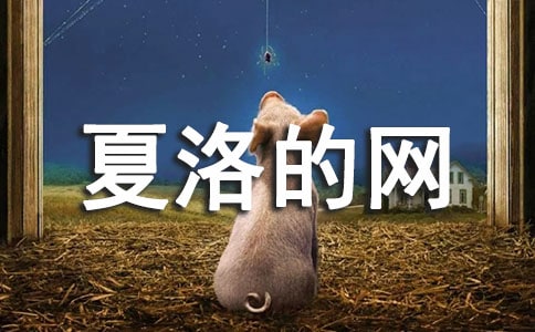 ����������ĵ����