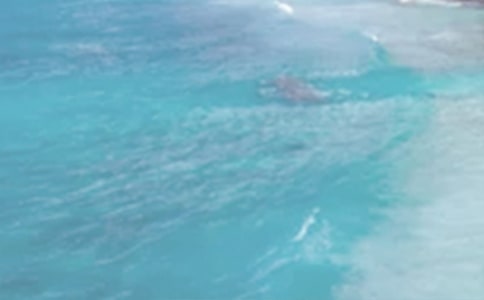 �����������ա��и�