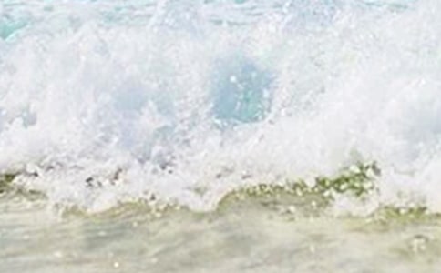 �����Сѧ����3ƪ����Ʒ��