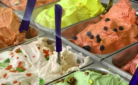 �����Сѧ���ľ���(10ƪ)