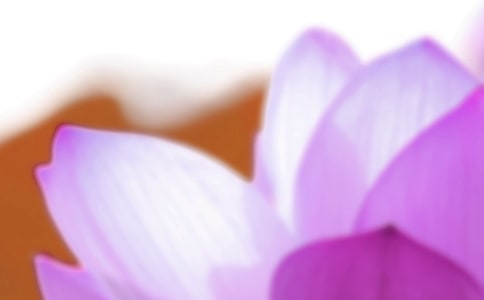 ���������̰��׶�԰