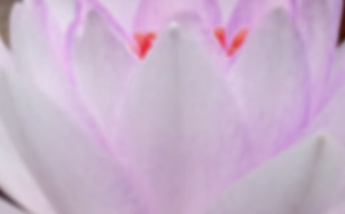 �а�̰�����