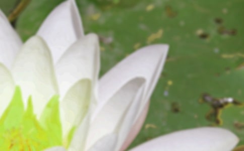 《夏至未至》读后感