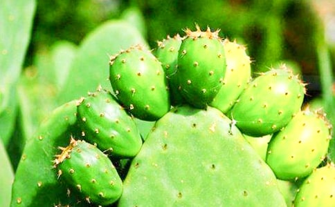 ��ѡ�����Ƶ�Сѧ���ĺϼ�9ƪ