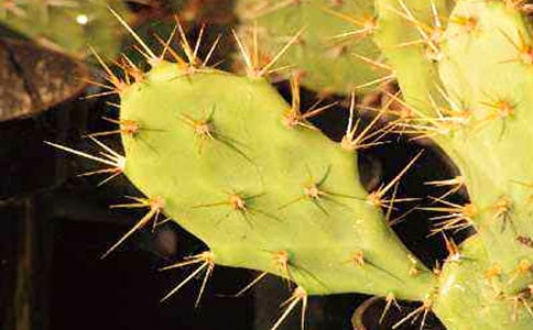 �������ռ�