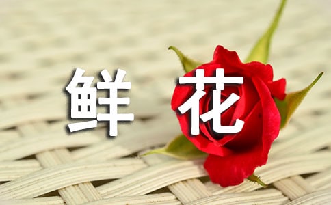云南省鲜花供货合同