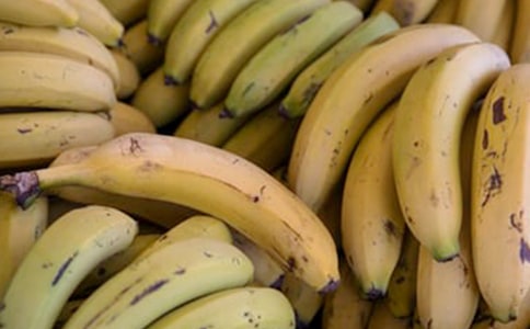 【精华】香蕉的说明文作文300字3篇