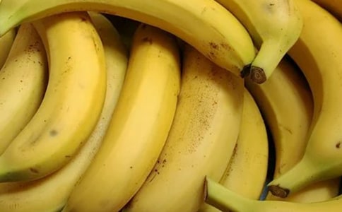 ���ڶ��꼶�㽶�����Ļ��5ƪ