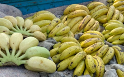 С������㽶����ѧ�̰�