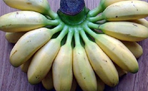 �㽶���꼶����300�ֺϼ�ʮƪ