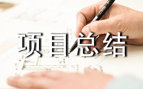 (荐)项目总结范文