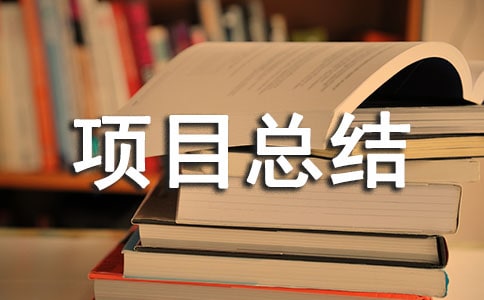 监理年度项目总结(15篇)