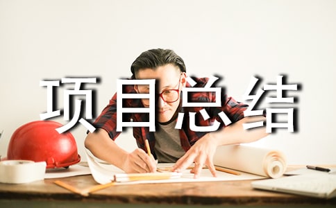 项目总结汇报