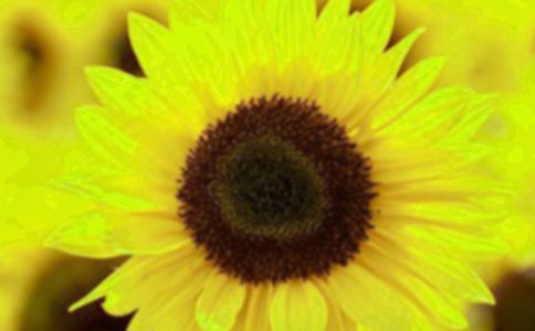 ����Ʒ�����տ�Сѧ������ƪ