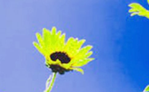 ���꼶�������տ�