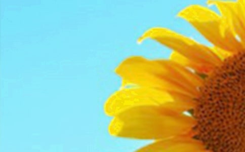 ����Ʒ�����տ�Сѧ���ĺϼ�9ƪ