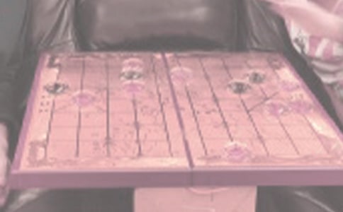 【精品】下象棋日记四篇