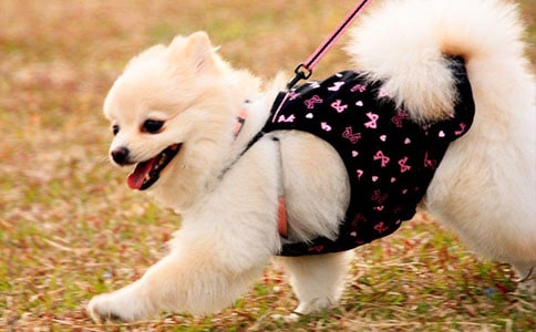 (��)С��Сѧ����300��