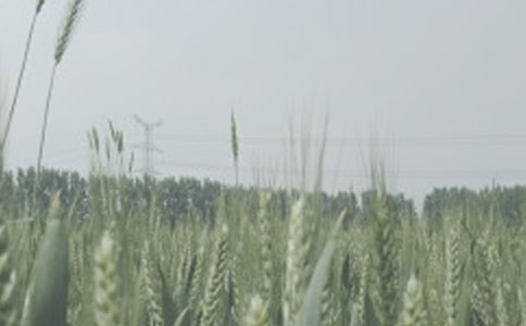 �������С�󡷴��̰�