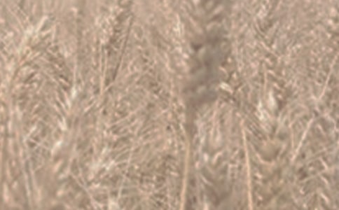 ����ۺϻ��ϣ�������ӡ���С��