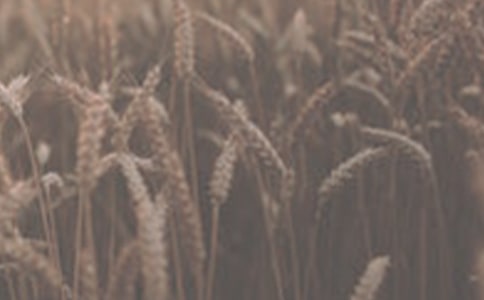 ������̰���С���������������˼