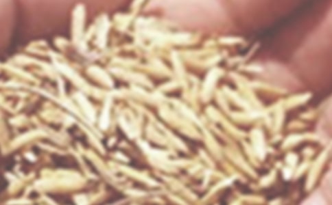 С������ͬ15ƪ