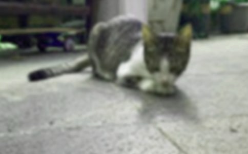 СèСѧ���ĺϼ�8ƪ