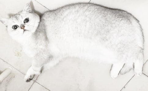 Сè���꼶����300�ֻ��7ƪ