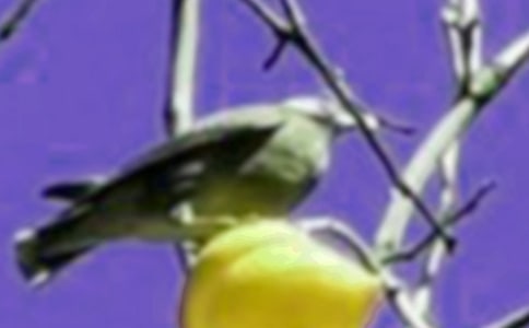 ��С���Ҽҡ���ѧ���� �̰���ѧ���