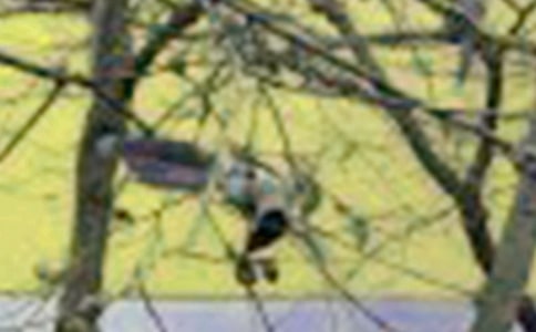 С����ռ�(�ϼ�15ƪ)