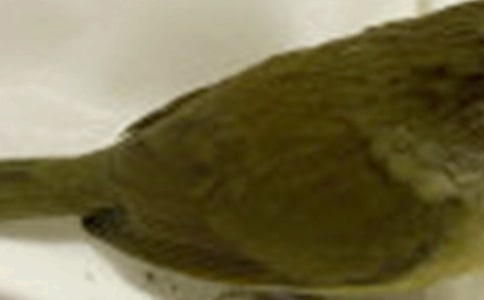 ��С��С������̰�����ѡ14ƪ��