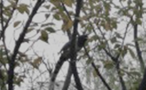 ��дС����ռ�