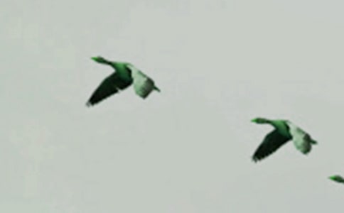 С�����Խ̰�������С��