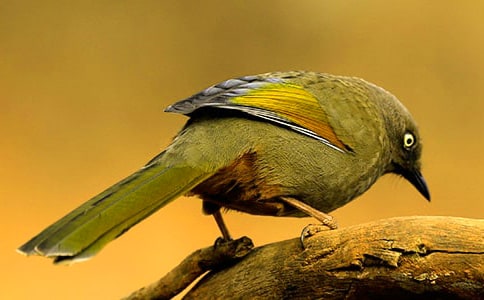 ʵ�õĶ��꼶С�������7ƪ