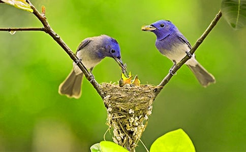 ���꼶С������Ļ��5ƪ