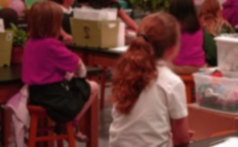 Сѧ�����ҽ��ܼ��ϣ�15ƪ��