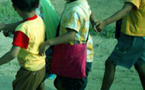 д��Сѧ������