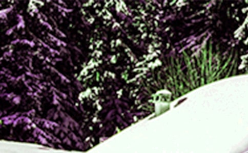 Сѩ�����Ľ̰�