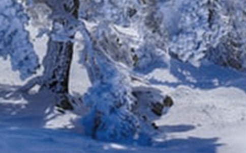 24����Сѩ�ݽ���