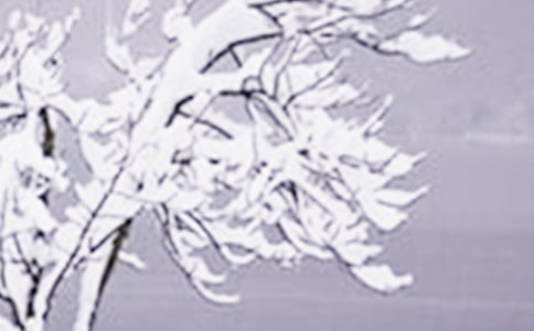 С����Ϸ�̰���Сѩ������ͨ��10ƪ��