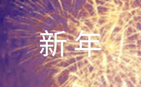 小学二年级新年日记