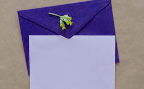 ���ŷ����ޡ���ѧ��˼