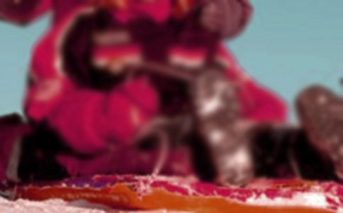 《乘雪橇》教学反思范文