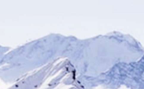 雪山飞狐读后感